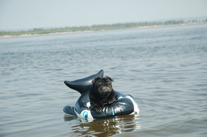 По морям, по волнам.