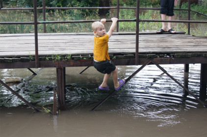 Детская радость