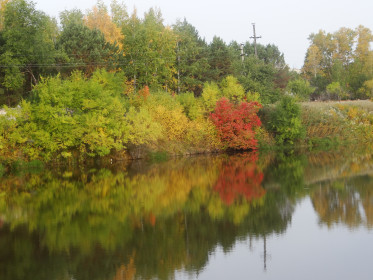 смотрюсь в тебя,как в зеркало...