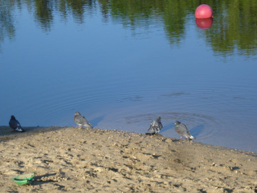 водные процедуры