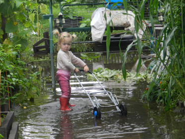 Мелковато, однако!