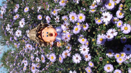 Гномик в ромашках