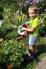 Цветы любят уход