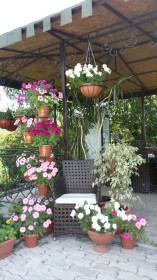 Маленький рай