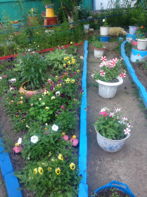 Цветочный рай