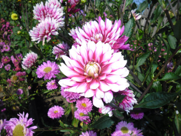 Красотули  у бабули!!!