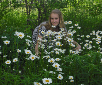 Ромашковый сад