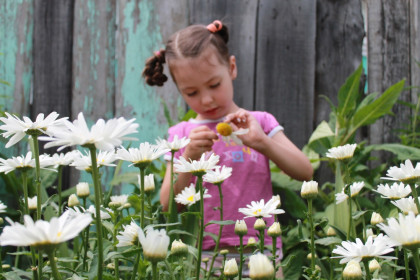 Любит... не любит... Люююбит!!!