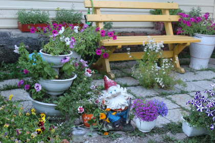 В гостях у гномика