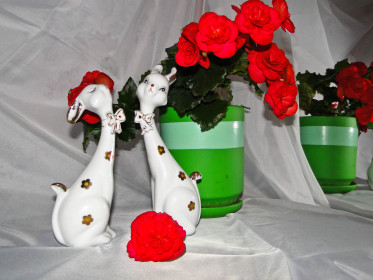 Яркие страсти цветы...