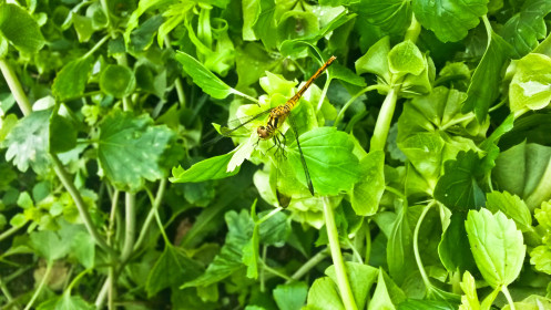 И здесь отдохнём.