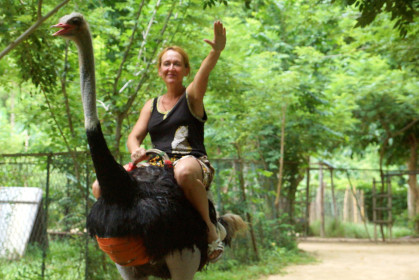 Всем привет