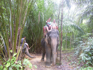 Устала ходить пешком