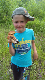 Лесной улов