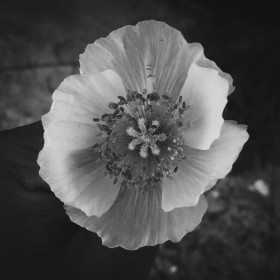 Хрупкий калейдоскоп