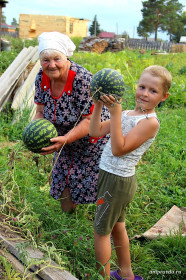 Вот арбуз-очень сочный он на вкус!