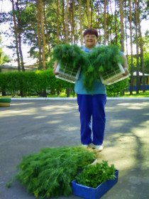 Сочный укропчик