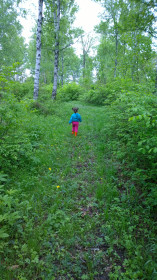 Познавая неизведанное