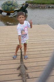 Ловим крокодилов.