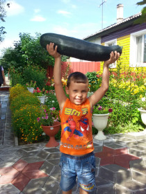 Вот такой кабачок