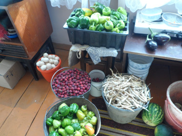 Дачка нас прокормит