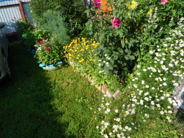 Цветочный микс