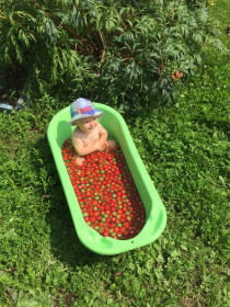 Ну что, курочки, ай да ко мне