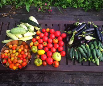 Дары природы