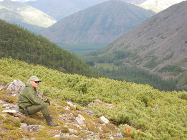 Горы в верховьях Селемджи