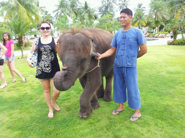 Тайские слоники-это чудо!