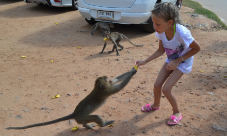 Отдай мой банан.