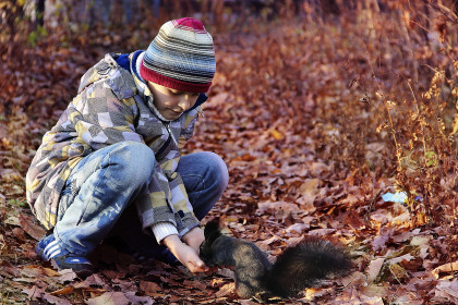Угощение для белочки