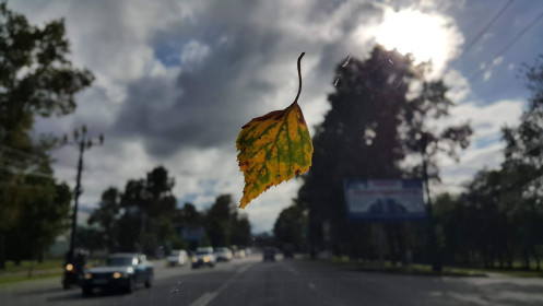 Примета сезона