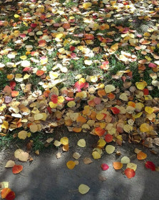 Город объят сентябрем