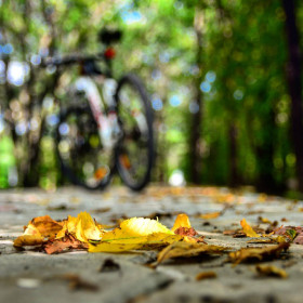Осенние велопрогулки