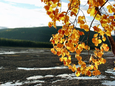 Листья осенью