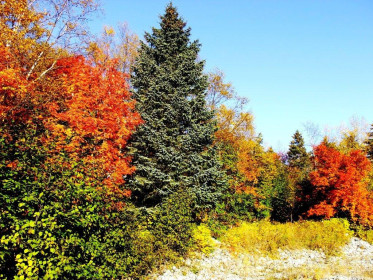 Очей очарованье во всех красках.
