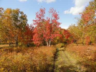 Осень на краю земли