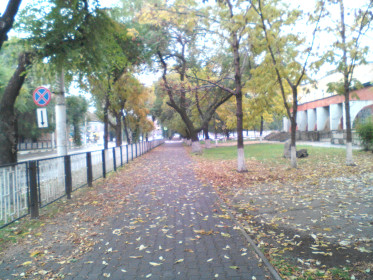 Осенняя меланхолия.