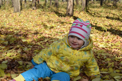 Один из дней осенью в парке.