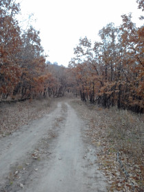 Золотая осень 2016год