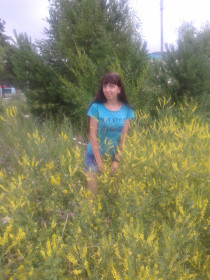 Осенние цветочки