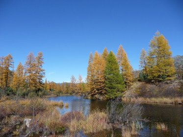 Осень - это прекрасно!