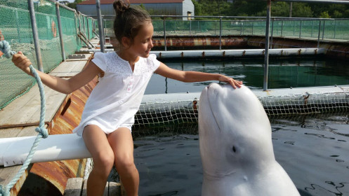 Соня и лучший друг человека