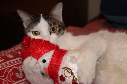 Любимый Снеговичек Белочки