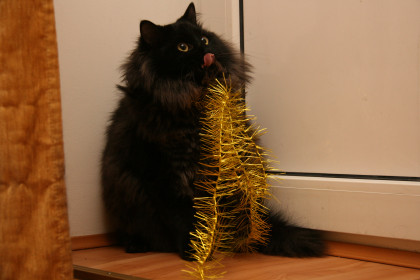 В ожидании чуда