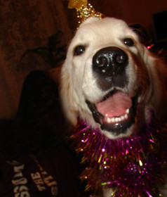 С новым пёсом!