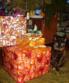 Где мой бантик? Я тож подарок!