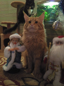 К встрече 2017 года готовы!!!