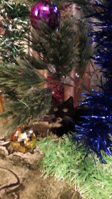 Я  бы этот шарик перевешала на пол.